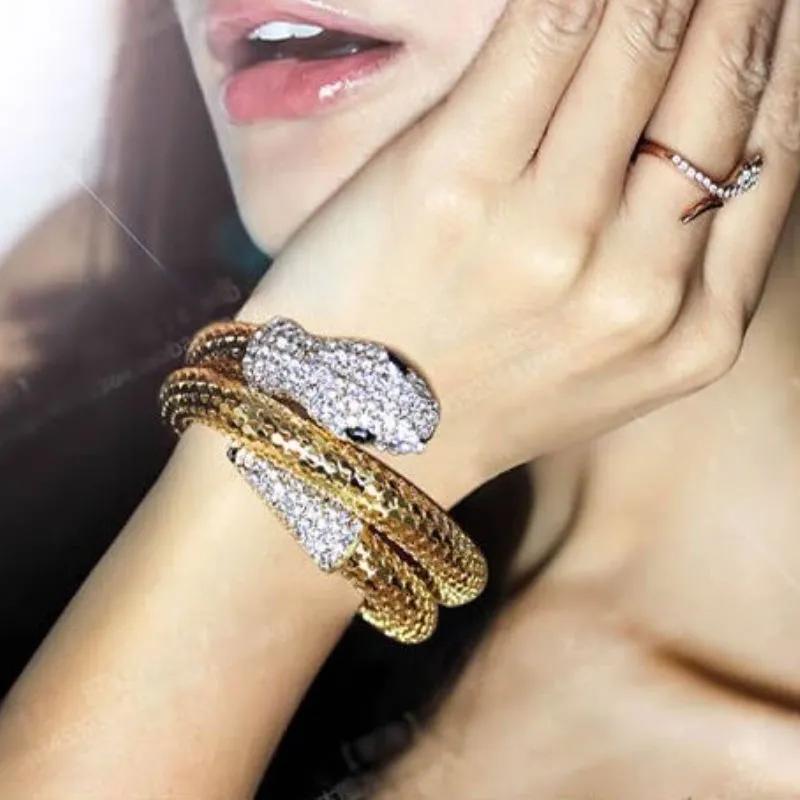 Punk Style Snake-shaped Winding Thick Bracelet Set with Retro Bracelet Jewelry