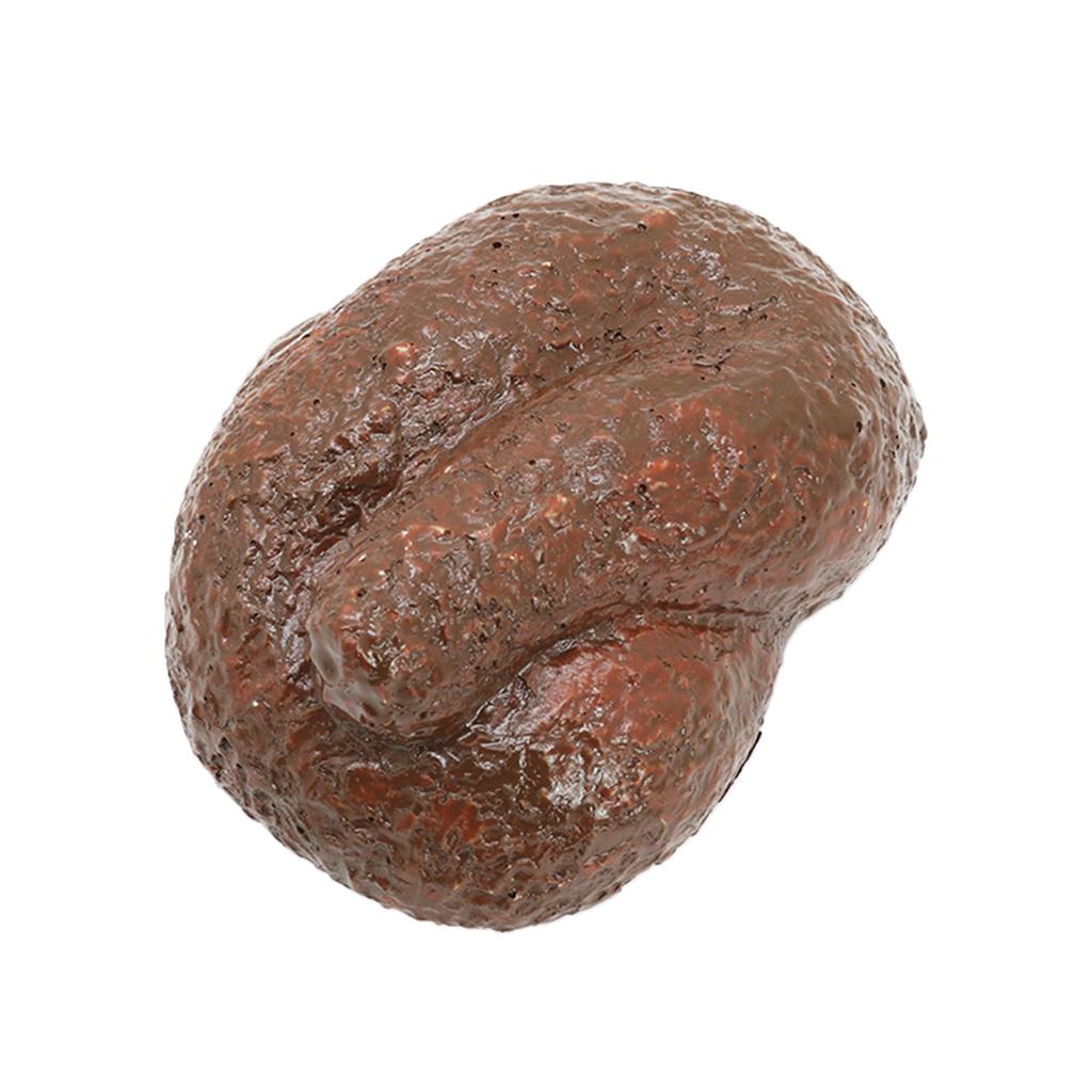 Realistic Stone Key Hider Portable Key Organizer Outdoor Key Storage Box Unique Key Hiding Holder Travel Key Storage