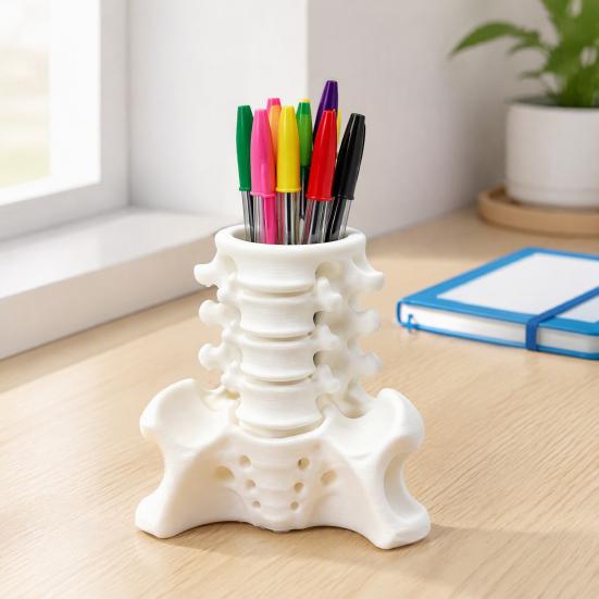 Realistic Pelvis Base Simulated Spine Pen Holder, Creative Skeleton Desktop Organizer, Durable Anatomical Desk Decor PLA 3D Printed Anatomy