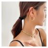 Light Luxury Temperament Necklace Trendy Neck Jewelry Set Cold Wind Design Metal Color Collarbone Chain Women