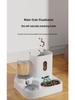Automatic Pet Feeder & Water Dispenser