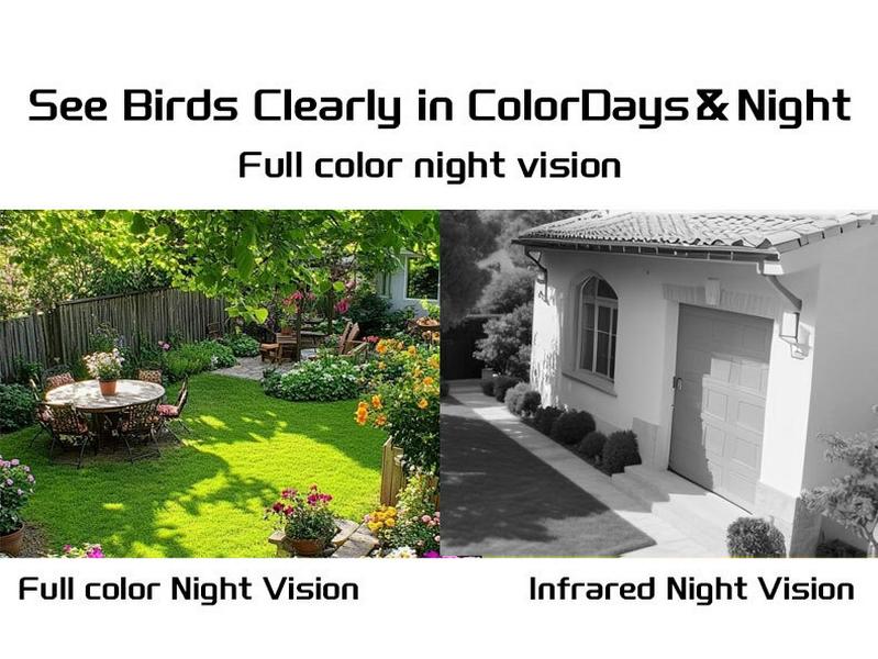 Smart Outdoor Solar Bird Feeder with Camera for Hummingbirds