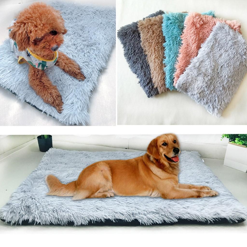 dry bed for dogs