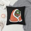 Sad Frog Pepe Square Pillowcase Pillow Cover Cushion Decor Comfort Throw Pillow for Home Sofa
