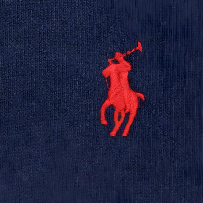 Polo Ralph Lauren Solid Color Logo Embroidered Hooded Pullover Raglan Long Sleeve Sweatshirt Women Sweatshirt Navy-Blue 211943007-002