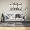 VidaXL Soft and Washable Short Pile Rug, Floor Carpet, Area Rug, Living Room Rug, Modern, 375003