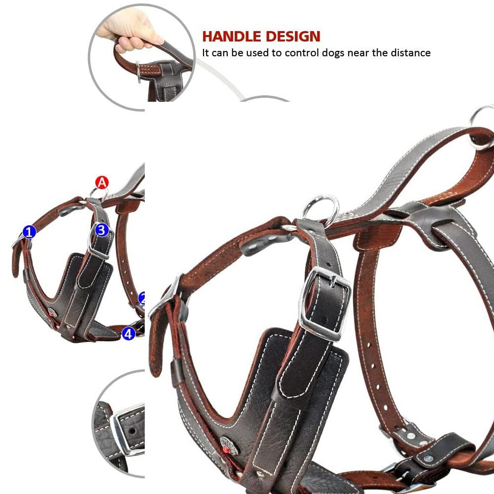 Cowhide Chest Sling for Medium and Large DogsHead Cowhide Dog Chest Sling for Training DogsVest Chest Sling