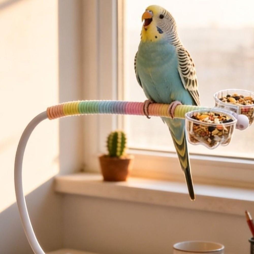 Wear Resistant Desktop Bird Perch Stand Bite Resistant Parrot Training Stand  Bird Training