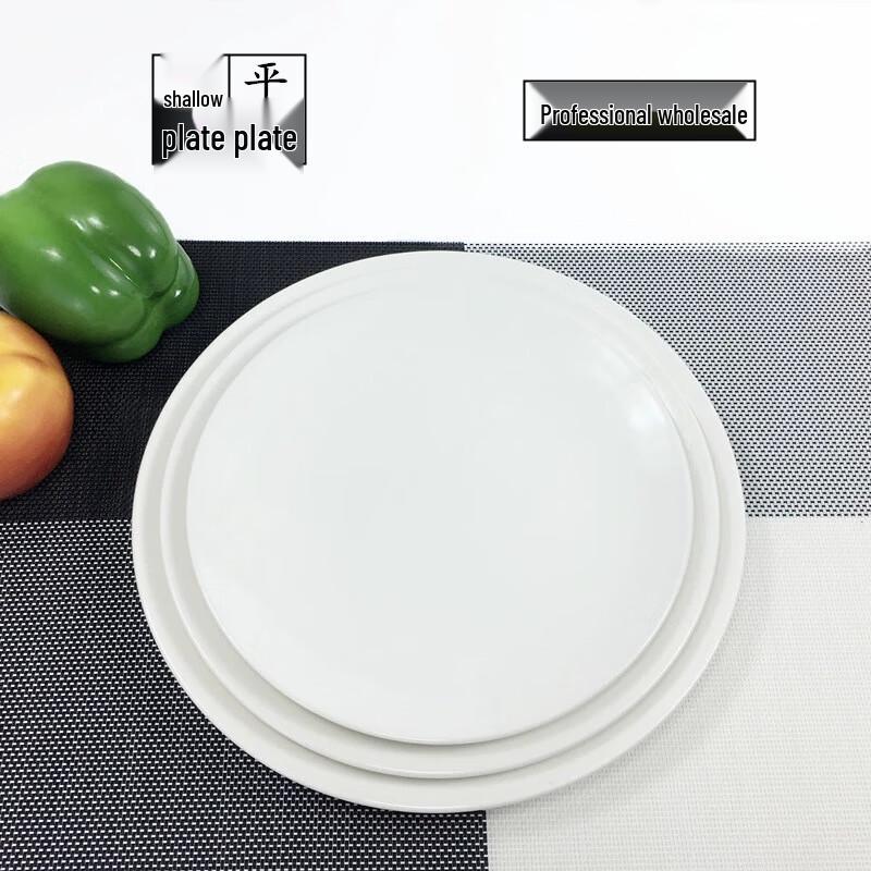 Elegant Pure White Ceramic Round Dinner Plate