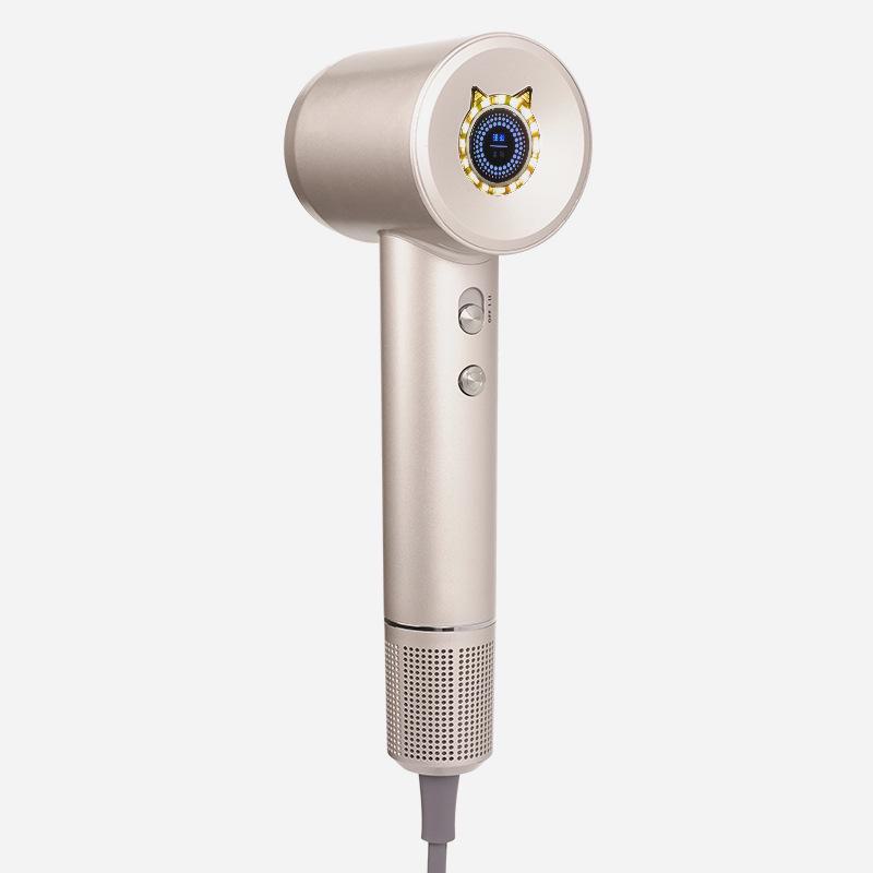 

Высокоскоростной ионизированный фен: Мощный бытовой и профессиональный инструмент для укладки в подарок Chinese standard 220V розового золота