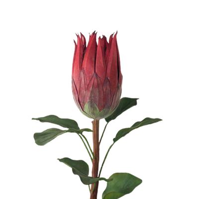 Simulatie Decoratieve Bloemen Levensgetrouwe Kunstbloem Woonkamer Decor Foto Props Nepbloemen