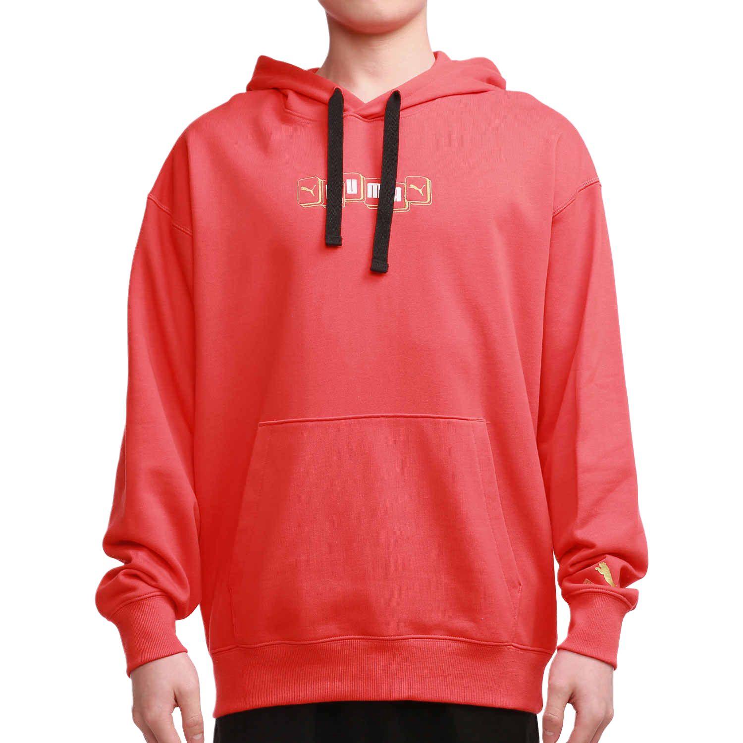 

Puma Printed Sports Pullover Hoodie Men hoodies Red 531299-23 S