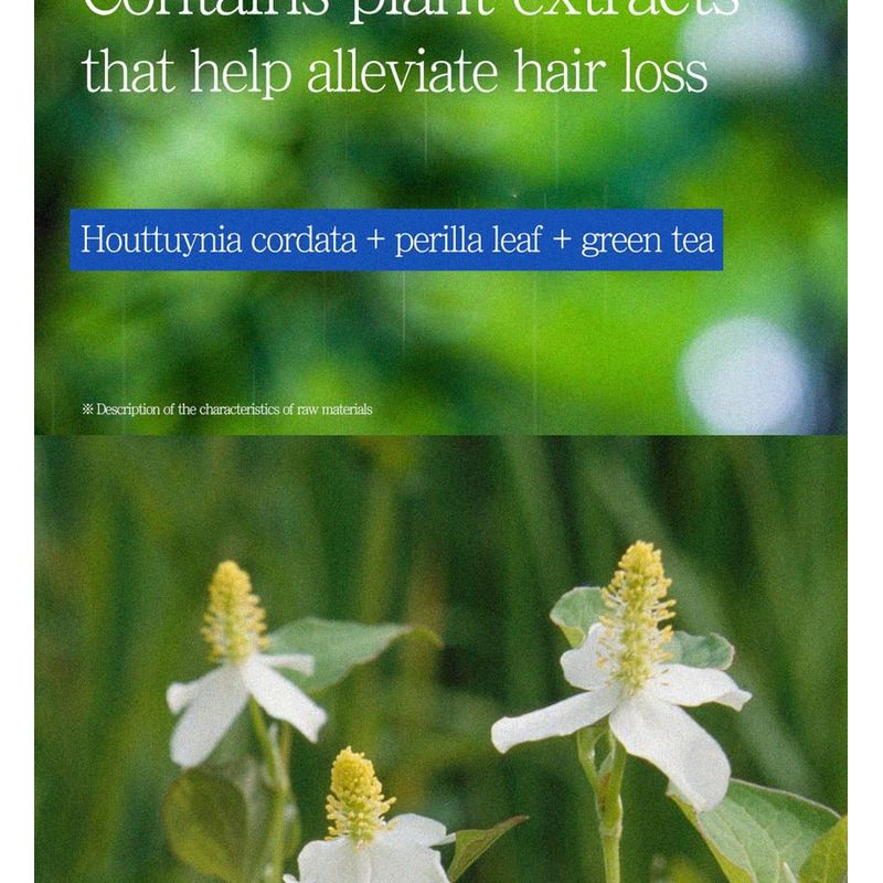 Pretty skin - Romantic Perfume Shampoo