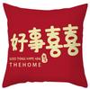 Modern Chinese Wedding Pillow Short Plush Double-sided Wedding Sofa Cushion Cover Wedding Room Red Festive Pillow