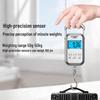 Qianque Portable Digital Hanging Scale