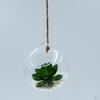 Pack 6 Pieces Hanging Vase Terrarium Container Bottle