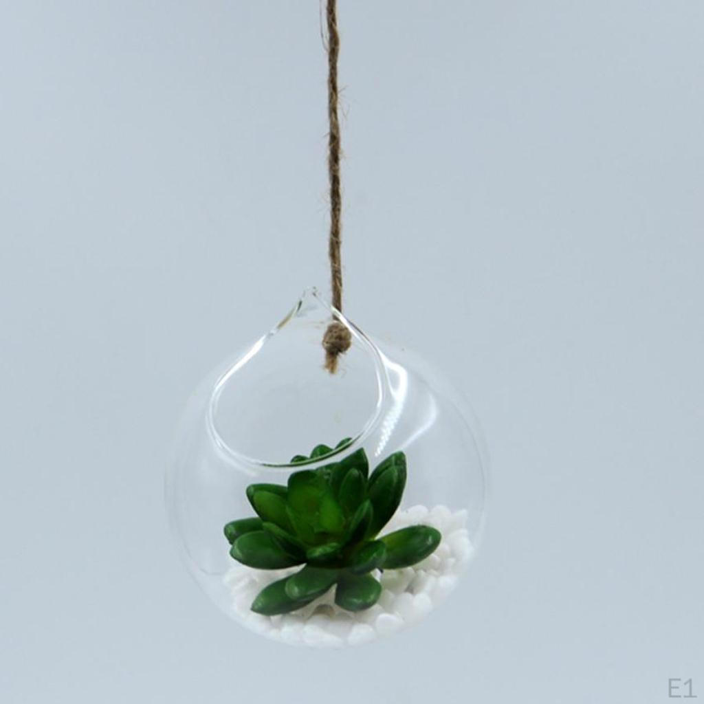 Pack 6 Pieces Hanging Vase Terrarium Container Bottle