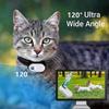 Catcam Pro, Cat Cam Pro 2.0, HD 1080p Video Camera Mini Collar Camera