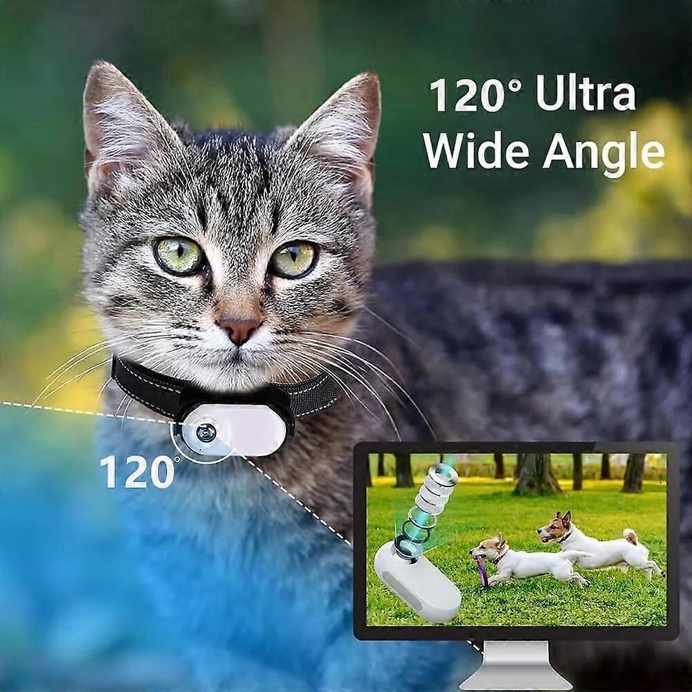 Catcam Pro, Cat Cam Pro 2.0, HD 1080p Video Camera Mini Collar Camera
