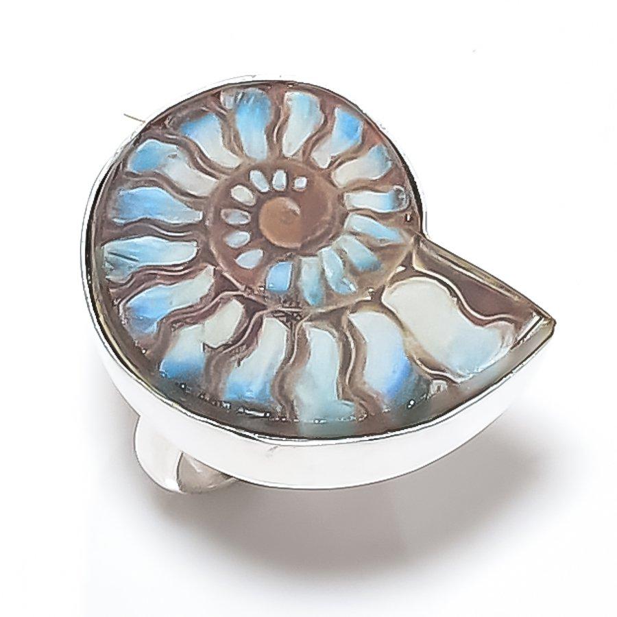 Natural Ammonite Fossil Gemstone 925 Sterling Silver Jewelry Ring Size 6.5 G7k53