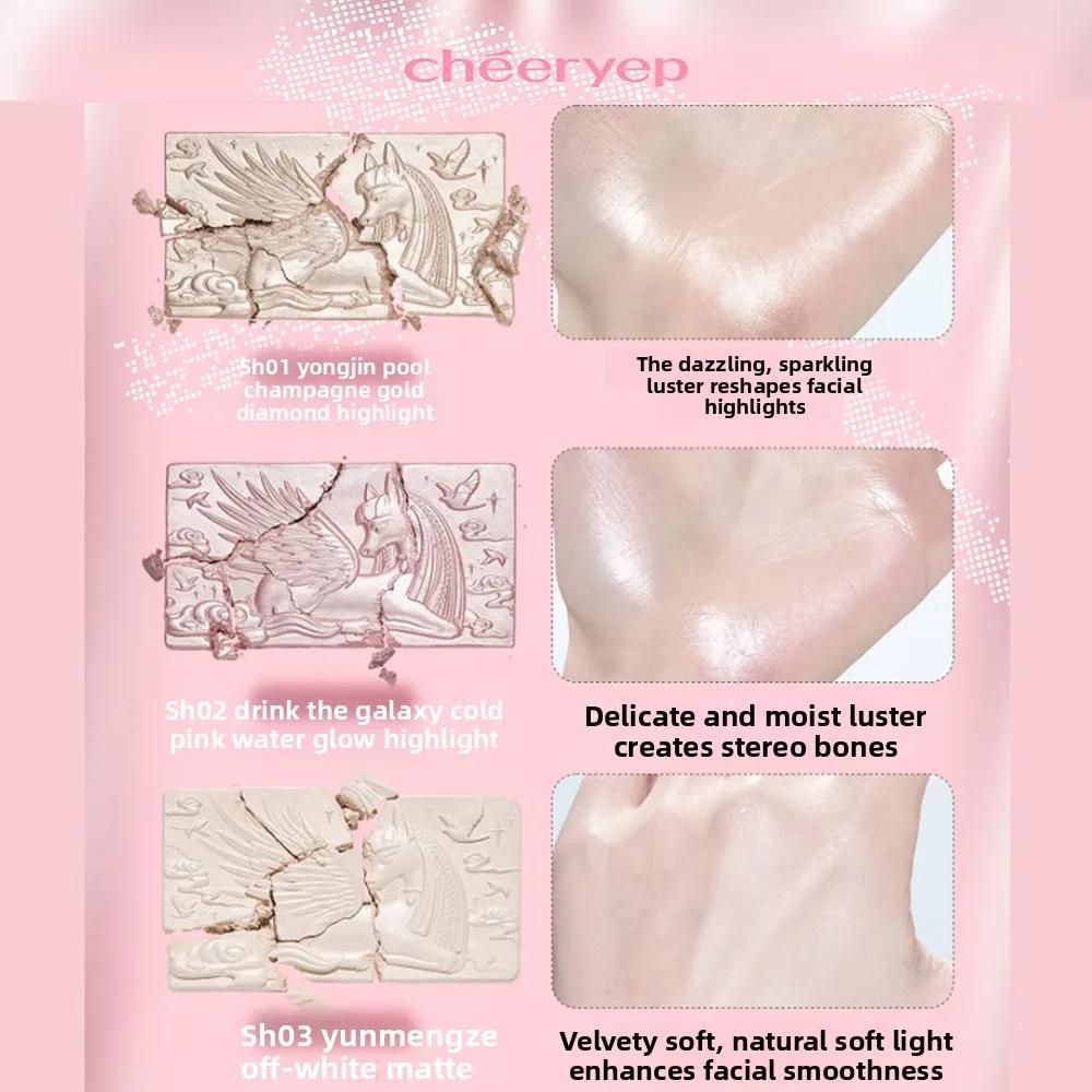 Chéeryep Set Professionale Illuminanti Trucco Bronzer Contouring Blush Cipria Pressata Shimmer Highlight Lunga Durata Illuminante
