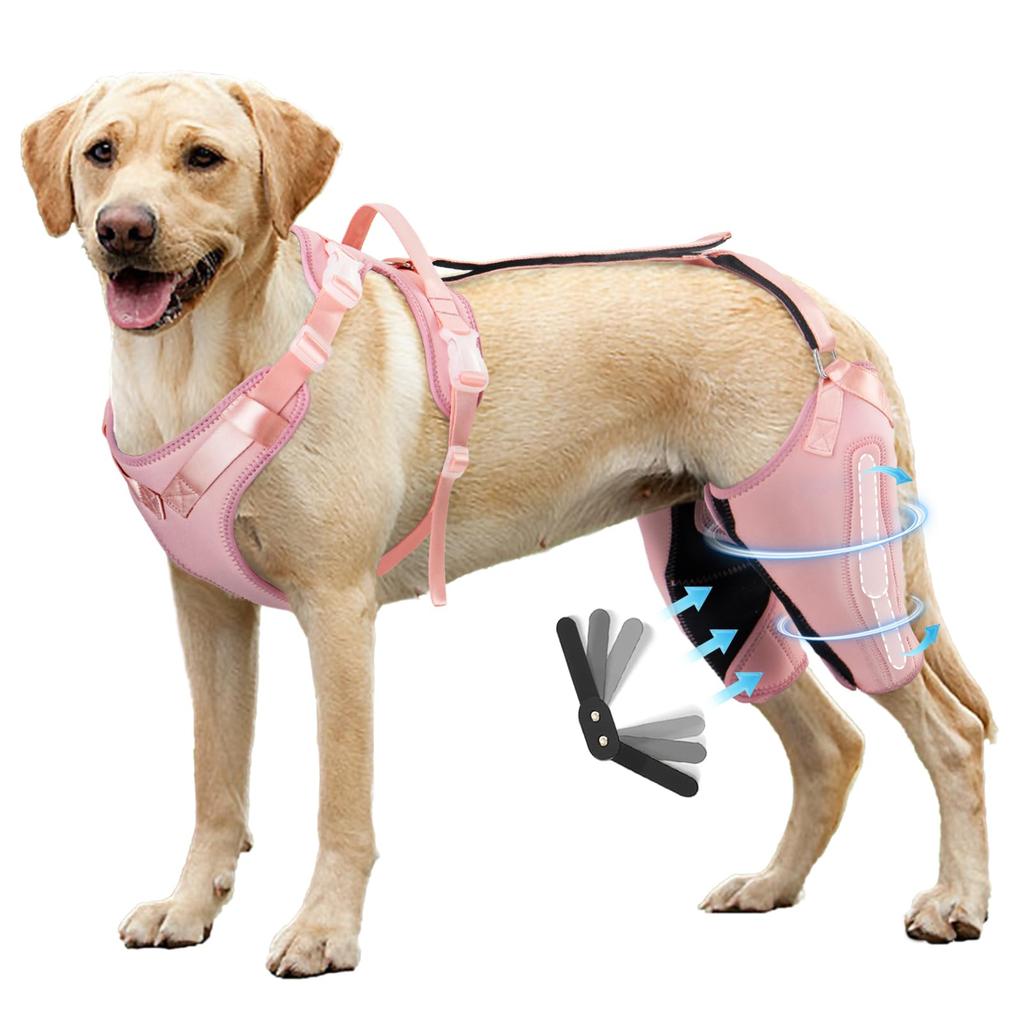 Dog Knee Brace Torn Acl Hind Leg Brace Support Luxating Patella Cruciate Ligament Joint Relief Pain Dog Elbow Brace Sleeve