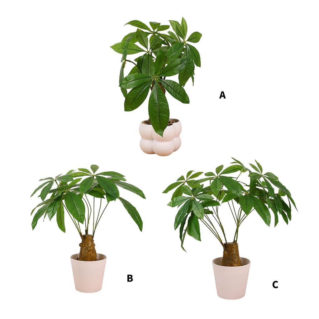 Realistisk Bonsai Tre Plante Dekorasjon Kunstig Penger Tre Potteplante for Kontorpult Stue Kjøkken Benkeplate