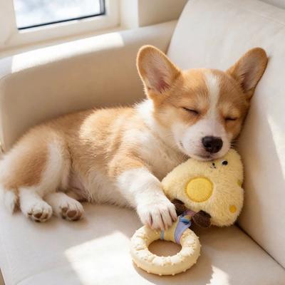 Yousheng Pet Chew Toy Cartoon Characters Soft Plush TPR Chew Ring with Built-in Sound Mechanism Teeth Grinding Boredom Relief Interactive Pulling