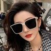 Cool Oversize Frame Women Sunglasses Luxury Square UV400 Outdoor Travel Sunshine Goggles Popular Style