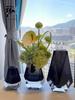 Nordic Light Luxury Crystal Vase: Elegant Ornament for Villa, Hotel, or Living Room Floral Arrangements.