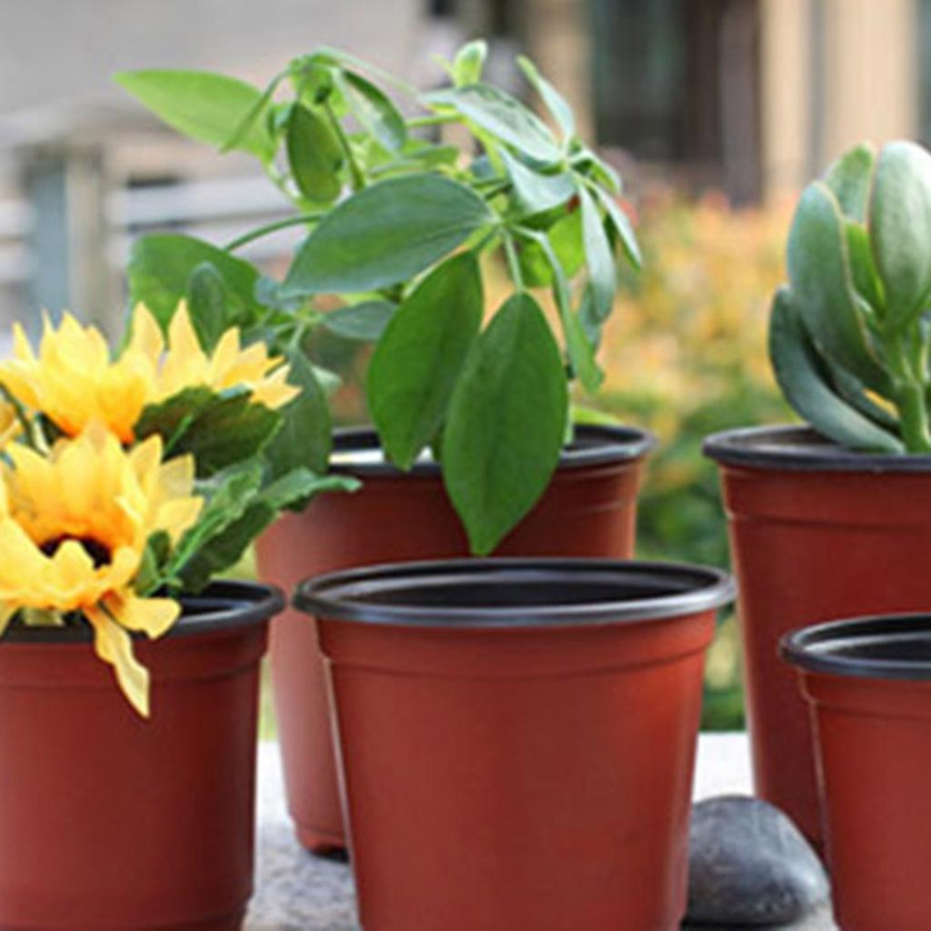 Two-Tone Plastic Flower Pot Red Black Seedling Pots With Multiple Sizes
