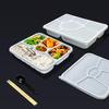 Disposable Five-Compartment Lunch Box