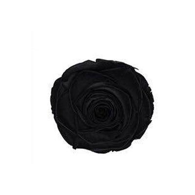 P-1 21 Preserved Roses in a Box Wedding Decor Floral Arrangements Wedding Dried Flower Home Decor Baby Shower Flowers 2~3cm