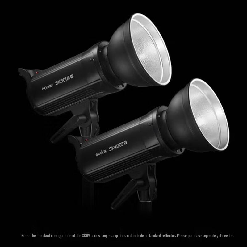 Godox SK400II-V Studio Flash Light