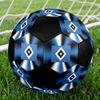 Hamburger SV Soccer Ball Size 5 Colorful Machine Stitched PVC Competition Ready Durable High-Bounce