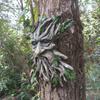 Tree Face Sculpture Greenery Old Man Face Tree Decoration Trunk Hugger Face Statue for Garden Outdoor Tree Decor