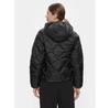 Demi-season Jacket Tommy Jeans DW0DW17242, Black, Standard Fit