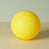 Competitive Balls Spike Game Ball With Pump Mini Volleyball Round Net Ball  Outdoor Sports