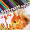 48/72/120/160 Colors Pencils Oil Color Pencils for Art Students Professionals