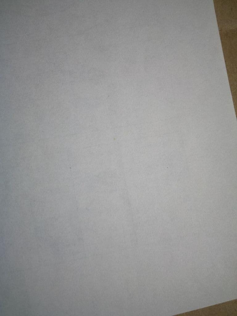 [USED] Rare Retro Vampire Knight Bonus Paper Sanseido Volume 17