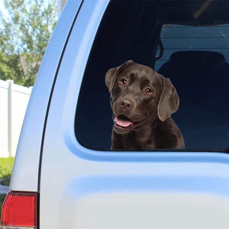 Cute Labrador Car Stickers Scratch Covering Self-Adhesive Waterproof Decal Motorcycle Decorative AccessoriesJM23