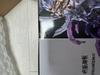 Figure Rhythm Mahara (unopened)