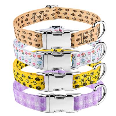 Köpek – Köpek Tasmaları ve Tasma Kayışları