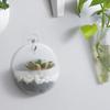Hydroponic Wall Mounted Flowerpot Flower Vase Lazy Person Plastic Wall Mounted Green Ivy Hanging Flowerpot With Hooks Provided YLE607