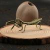 A Brass Mantis Small Ornament, Tea Pet Solid Copper Insect Antique Bronze Miniature Sculpture Copper Art Small Decorative Item Particularly Exquisite