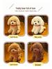 Teddy Dog Plush Toy: Children's Soothing Doll & Activity Gift