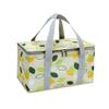 Borsa da Picnic Portatile Termica Isolante Borsa Frigo Grande per Campeggio all'Aperto Borsa Pranzo da Esterno Impermeabile Scatola Spessa con Pellicola di Alluminio