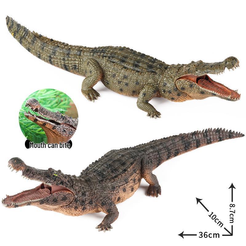 Large Crocodile Wildlife Model Toy: Yangtze Crocodile for Kids' Cognitive Play