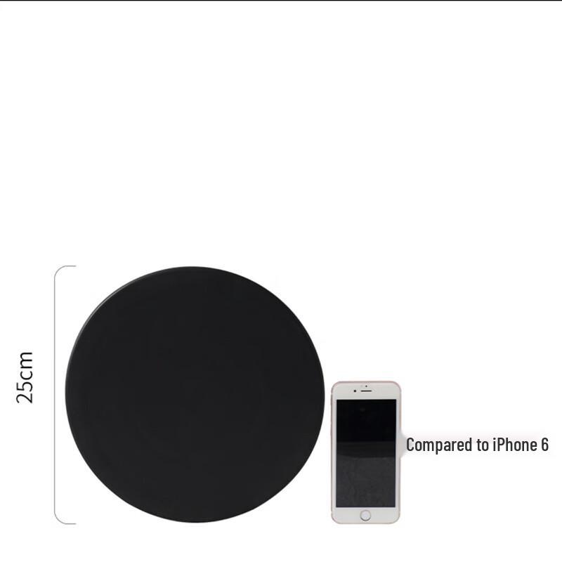 ZISIZ 10-Inch Matte Black Ceramic Dinner Plate