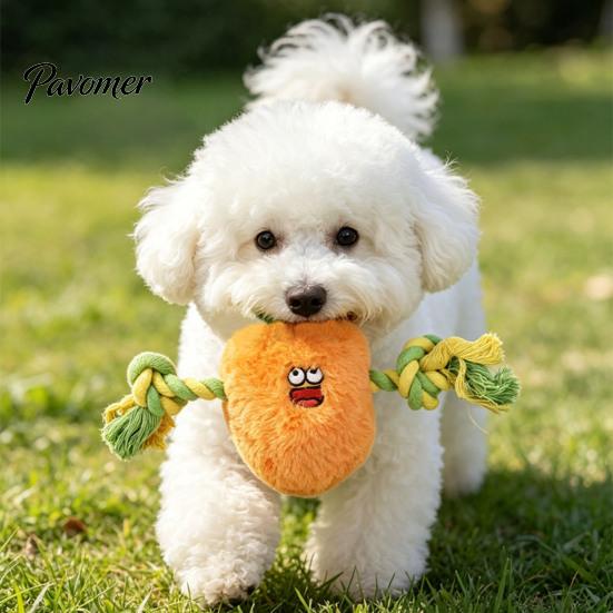 Aggressive Chewer Toy Stuffed Vegetable Dog Toy, Interactive Squeaky Chew Plush Carrot Eggplant Green Pepper with Rope Arm for Tug-of-war, Small